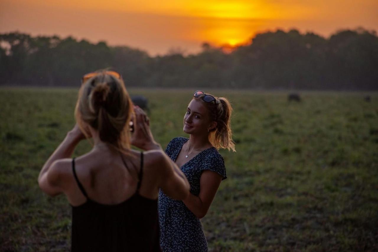 Готель Camp Leopard - Yala Safari Glamping Екстер'єр фото