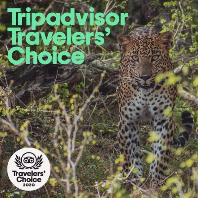 Готель Camp Leopard - Yala Safari Glamping Екстер'єр фото