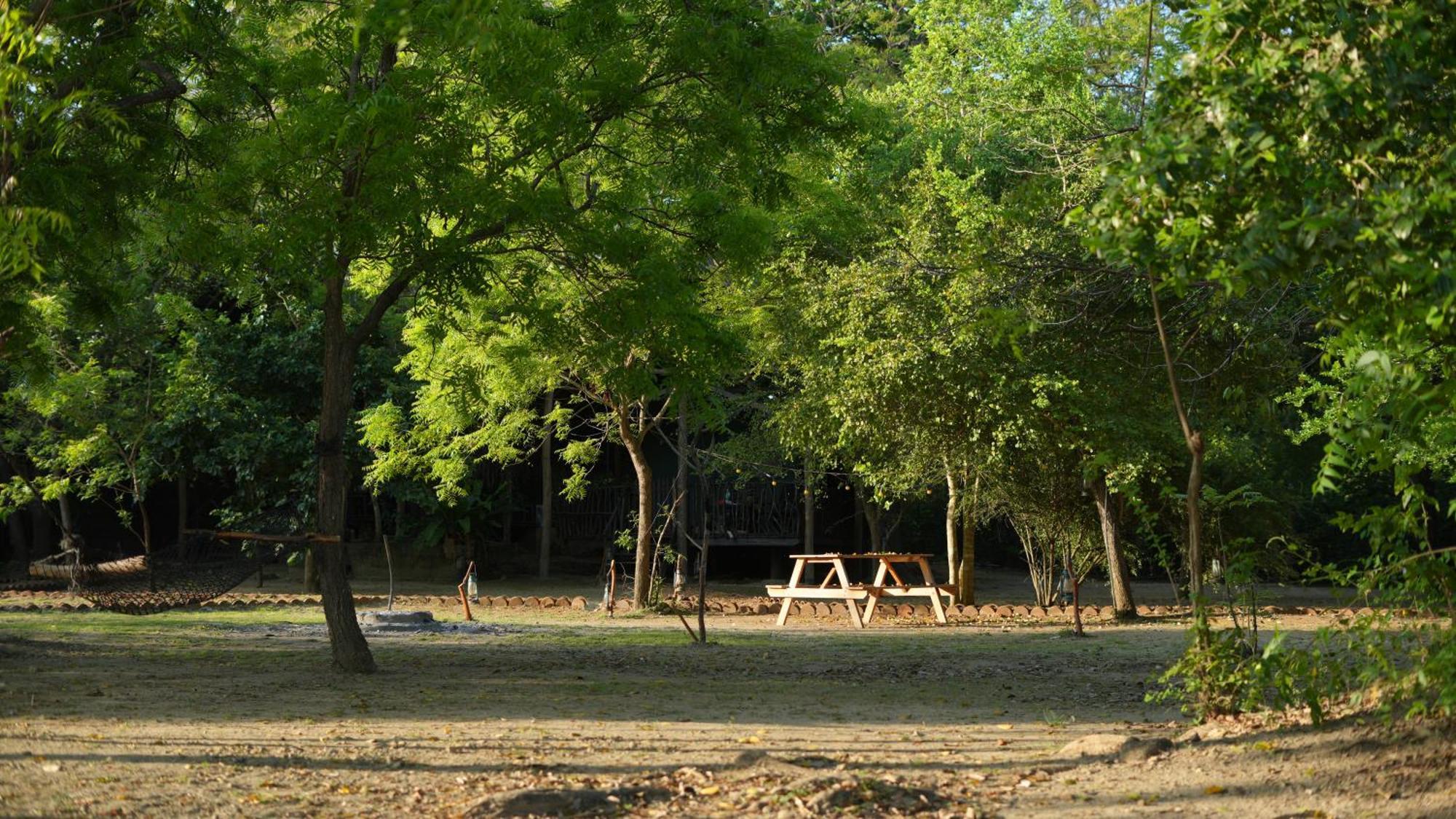 Готель Camp Leopard - Yala Safari Glamping Екстер'єр фото