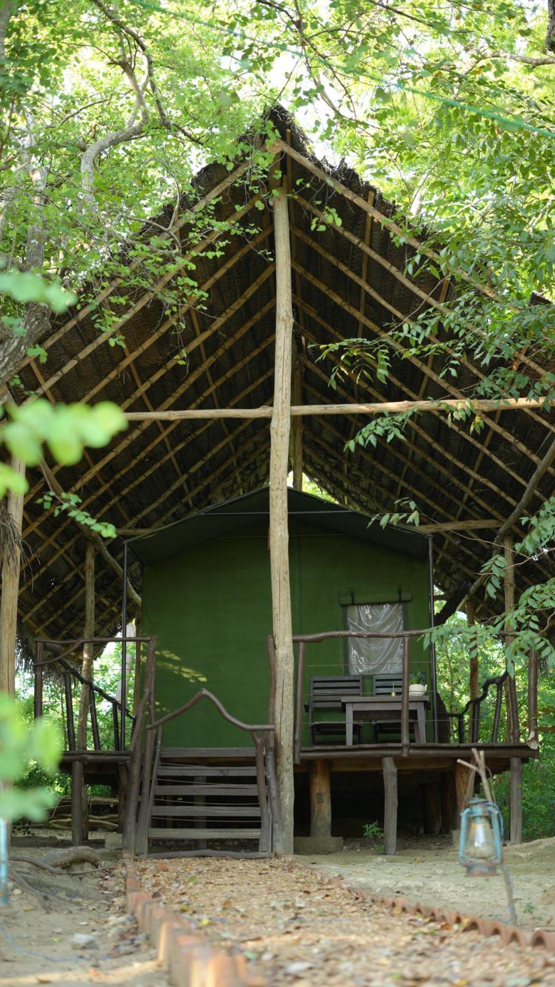 Готель Camp Leopard - Yala Safari Glamping Екстер'єр фото
